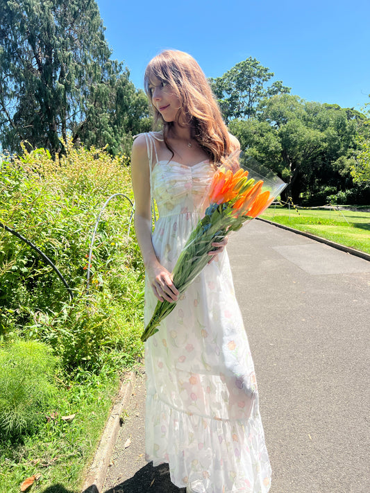🌷Harmony🌷